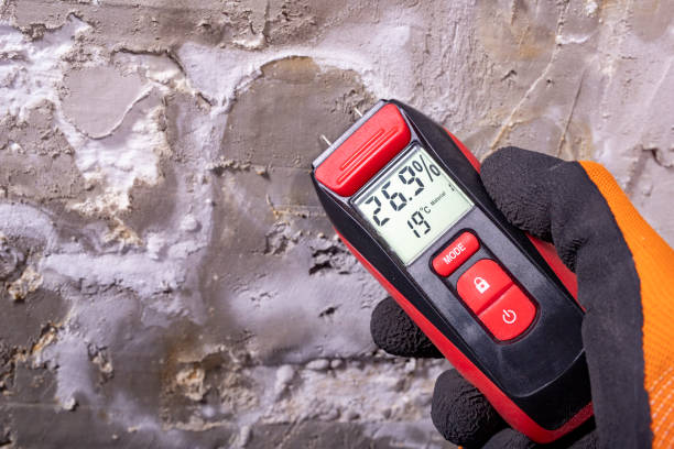 Best Localized Mold Remediation (e.g., coastal areas, humid climates) in Ontonagon, MI