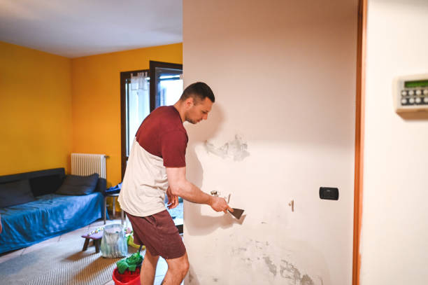 Best Localized Mold Remediation (e.g., coastal areas, humid climates) in Ontonagon, MI